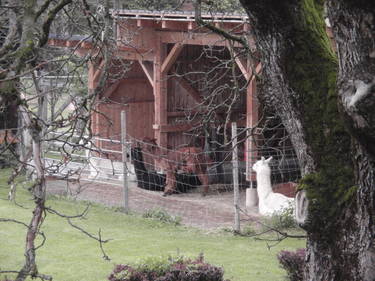 Pension Alpenhaus Фордерстодер Экстерьер фото