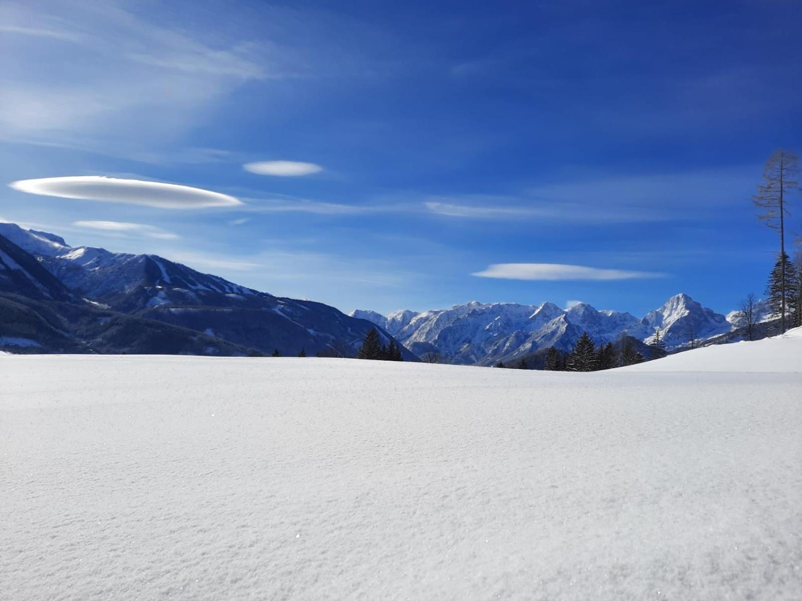 Pension Alpenhaus Фордерстодер Экстерьер фото