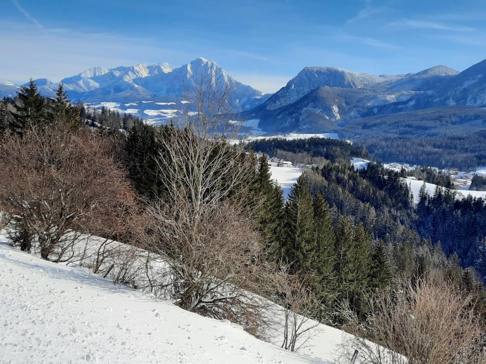 Pension Alpenhaus Фордерстодер Экстерьер фото